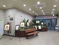 기사이미지