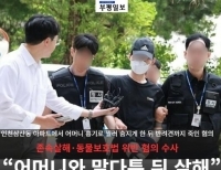  기사 이미지